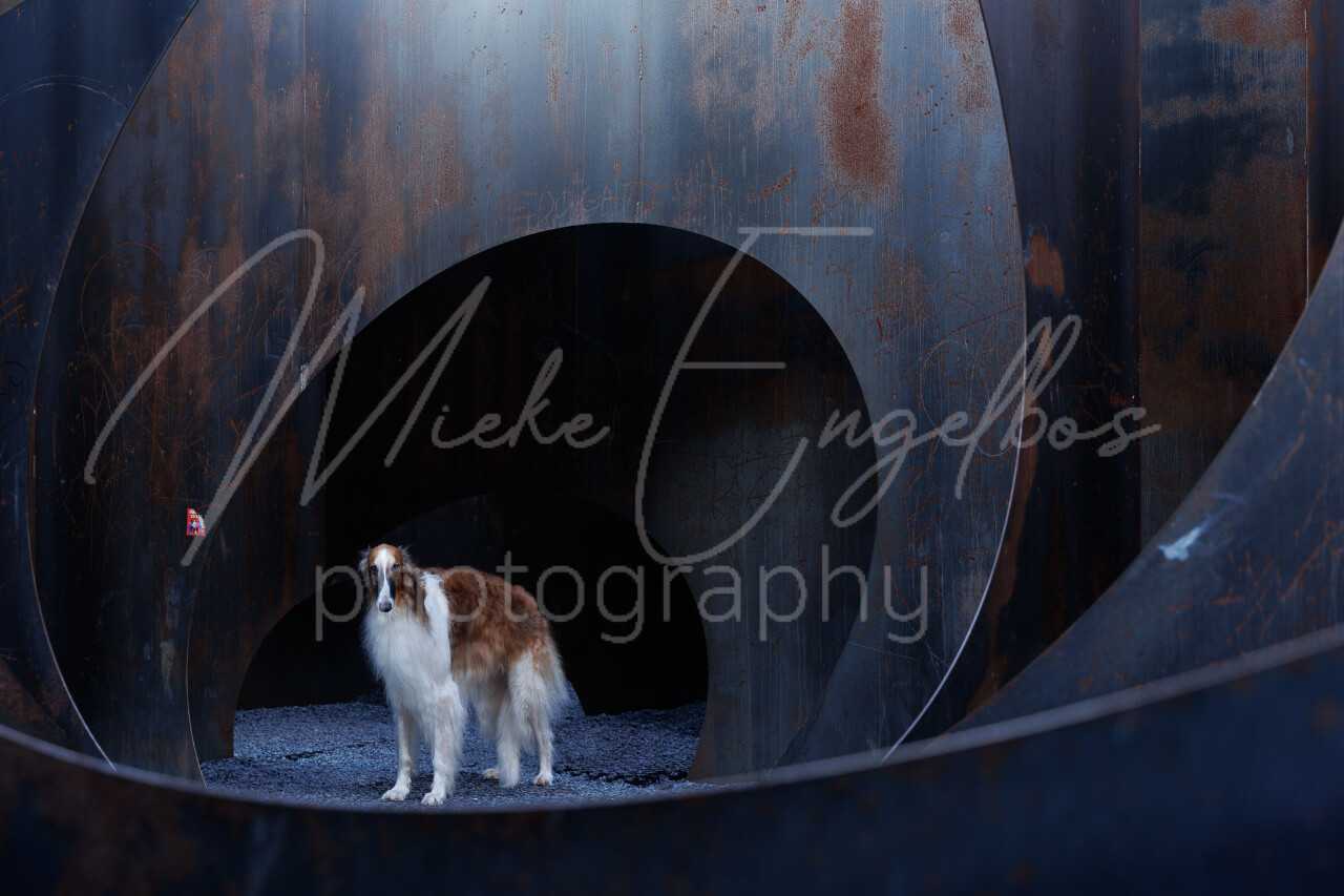 Cherkay - C-Mine Genk