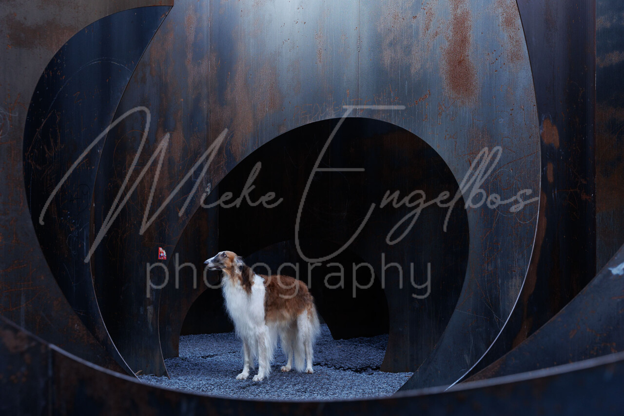 Cherkay - C-Mine Genk