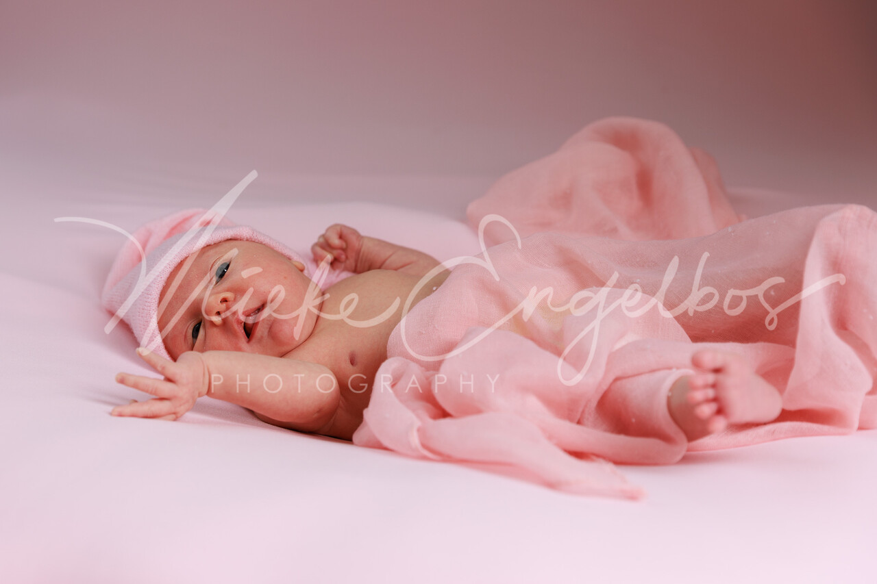 Manon - 22/02/2022