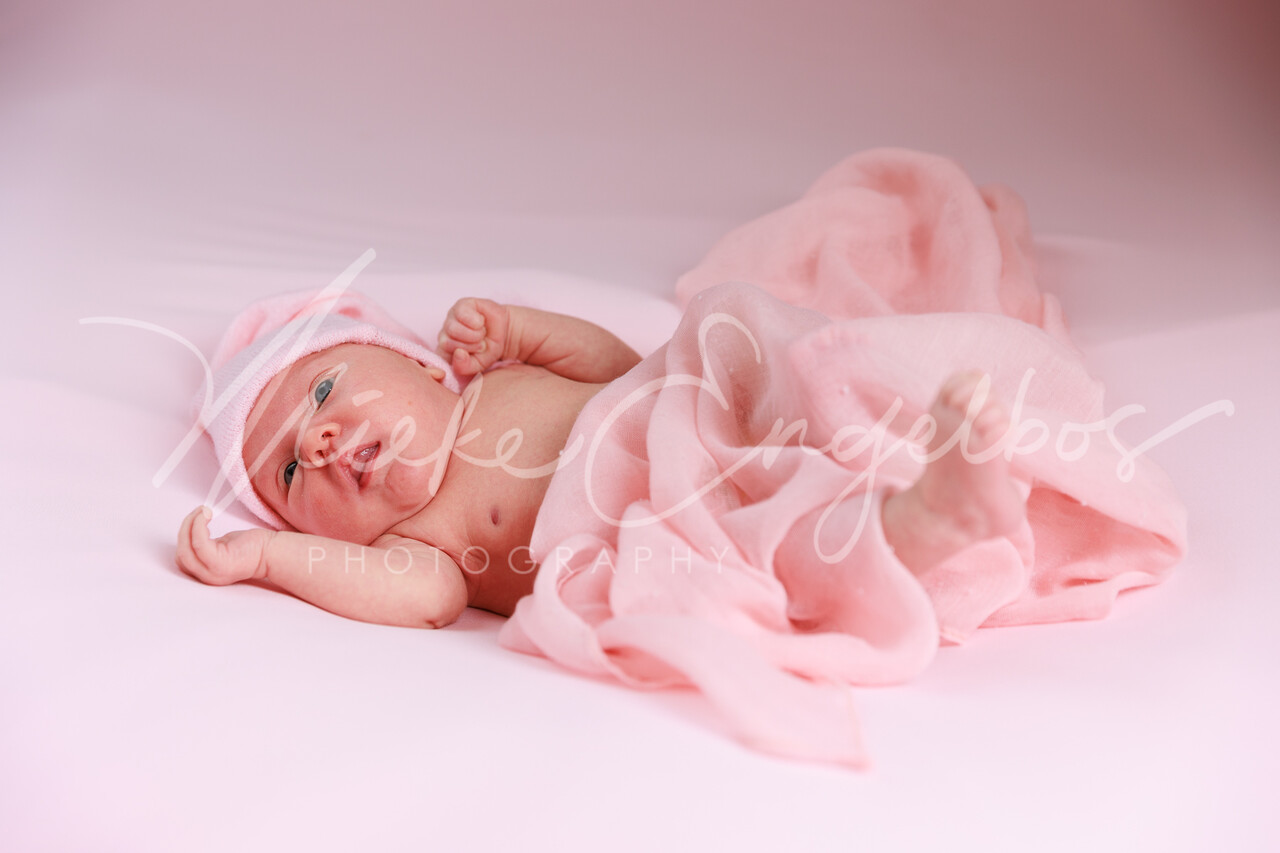 Manon - 22/02/2022
