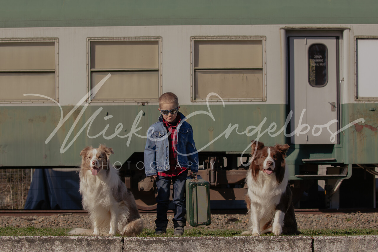 Sieger, Tuur & Stig