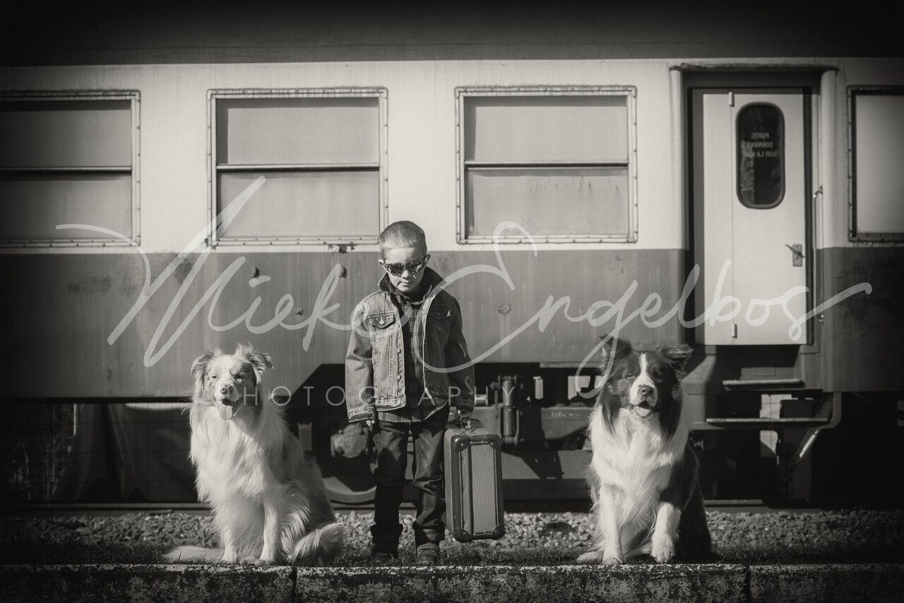 Sieger, Tuur & Stig