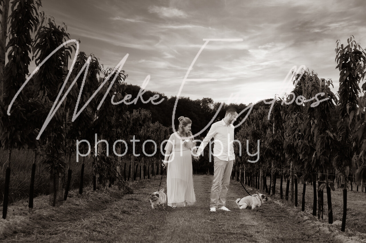 Zwangerschapsshoot Anke Aerts