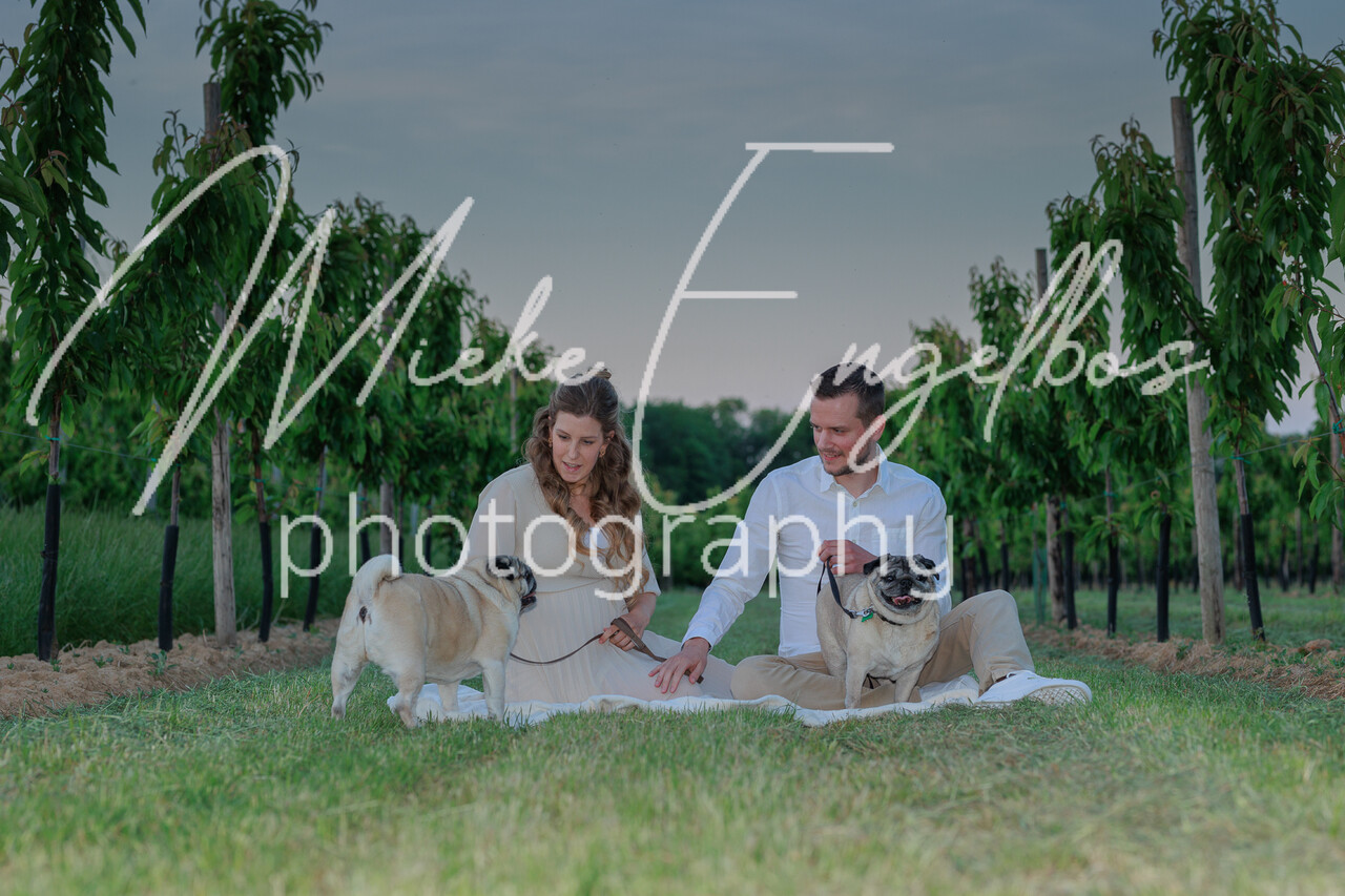 Zwangerschapsshoot Anke Aerts